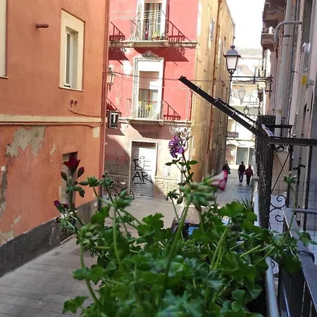 Claire De Lune Guest house